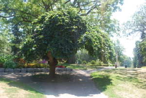 Thumbnail of post image 173