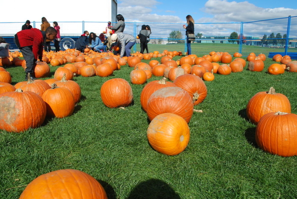 Thumbnail of post image 060