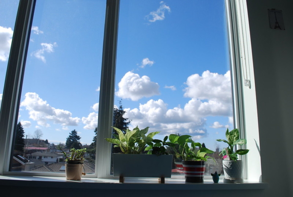 Thumbnail of post image 167