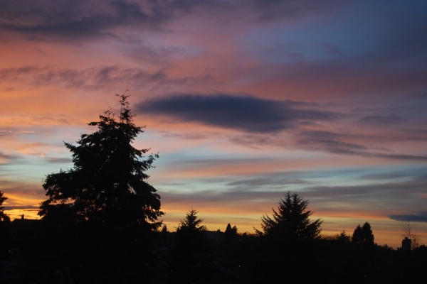 Thumbnail of post image 112