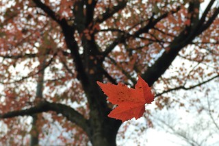 Thumbnail of post image 159