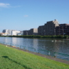 Thumbnail of related posts 189