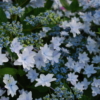 Thumbnail of post image 096