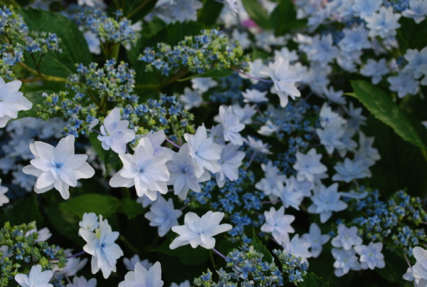 Thumbnail of post image 149