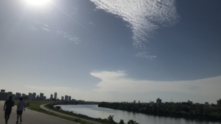 Thumbnail of post image 095