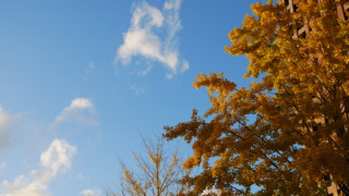 Thumbnail of post image 016