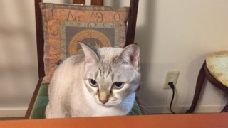 Thumbnail of post image 181