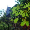 Thumbnail of related posts 024