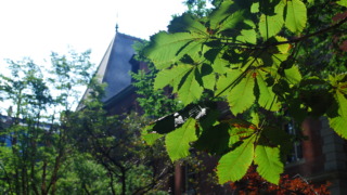Thumbnail of post image 130