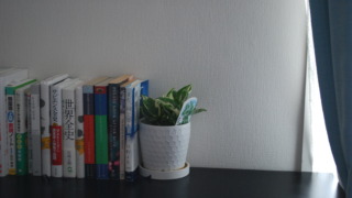 Thumbnail of post image 136