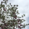 Thumbnail of new posts 144