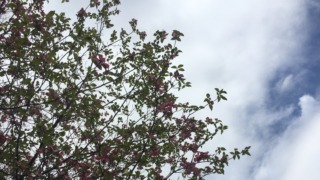 Thumbnail of post image 060