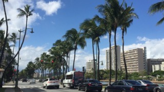 Thumbnail of post image 145