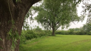 Thumbnail of post image 168
