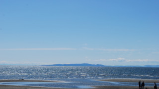 Thumbnail of post image 071