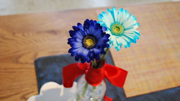 代用のペットボトルと青いガーベラ2輪さえあれば おうちカフェ Umelife Blog 代用のペットボトルと青いガーベラ2輪さえあれば おうちカフェ Umelife Blog
