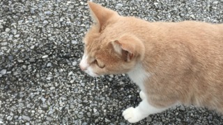 Thumbnail of post image 021