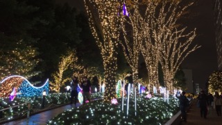 Thumbnail of post image 141