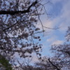 Thumbnail of related posts 103