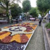 Thumbnail of new posts 037