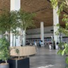 Thumbnail of new posts 011