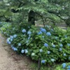Thumbnail of new posts 037