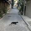 Thumbnail of new posts 119