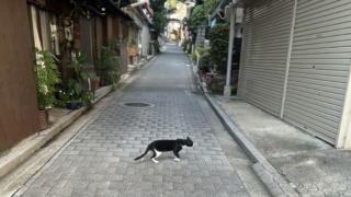 Thumbnail of post image 056