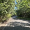 Thumbnail of new posts 134