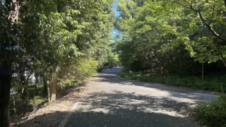 Thumbnail of post image 039