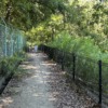 Thumbnail of new posts 127