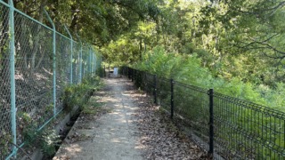 Thumbnail of post image 119