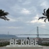 Thumbnail of new posts 047