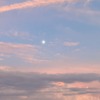 Thumbnail of new posts 076