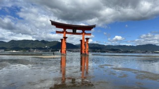 Thumbnail of post image 139