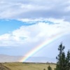 Thumbnail of new posts 071