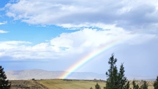 Thumbnail of post image 117