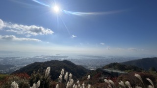 Thumbnail of post image 171