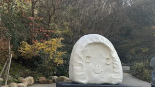 Thumbnail of post image 071