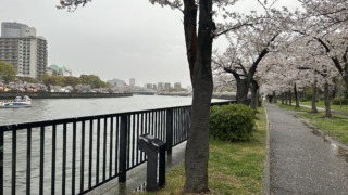 Thumbnail of post image 070