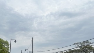 Thumbnail of post image 179