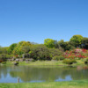 六義園|公園へ行こう!