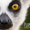 Toronto Zoo | Plan Your Visit
