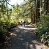 Lynn Canyon Park | Lynn Canyon Suspension Bridge