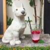 café shibaken - 野の花屋,café shibaken,まめしばコーヒー Official Website